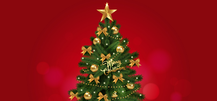 Vi auguriamo Buone Feste